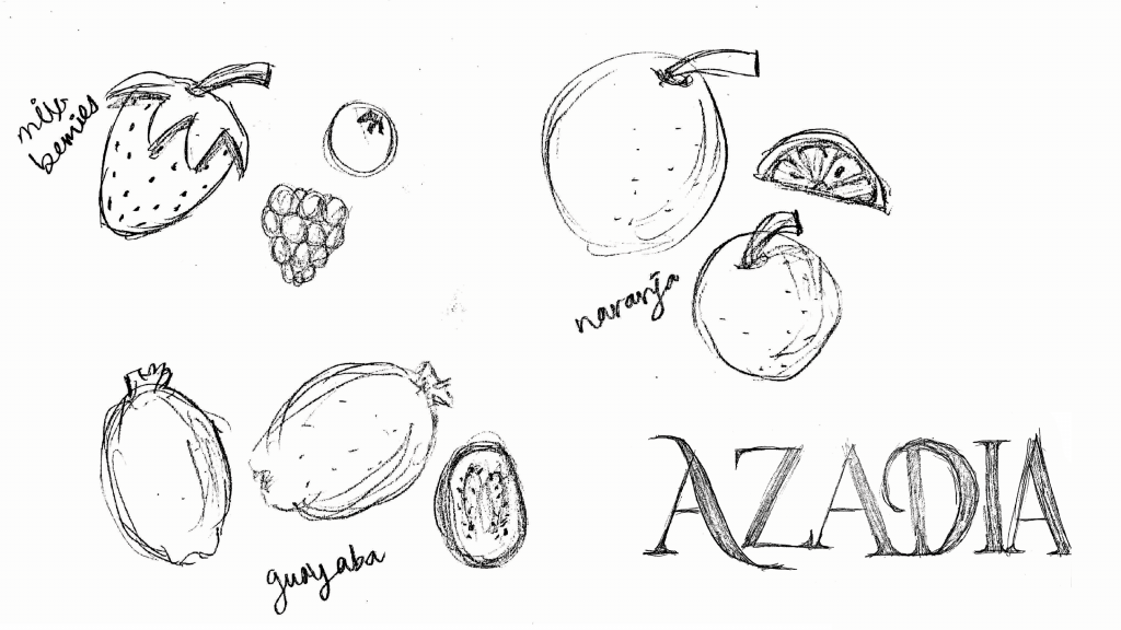 sketch of mix berries, guava and orange and lettering for azadia naming